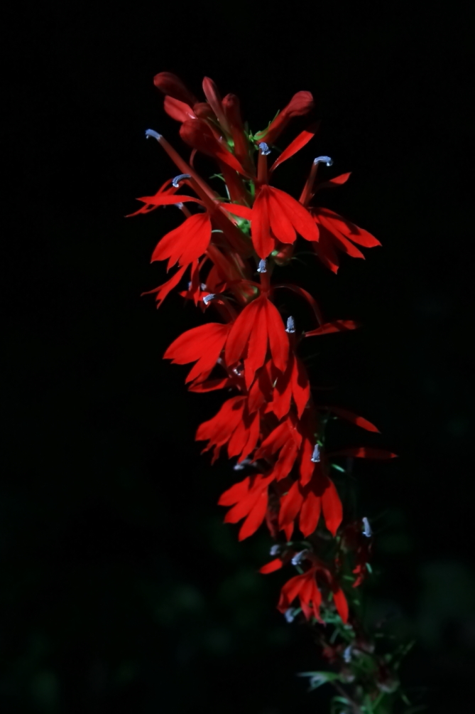 2010 09 11 IMG 07766